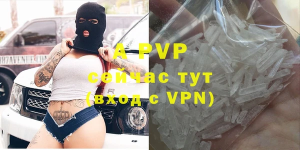 apvp Осташков