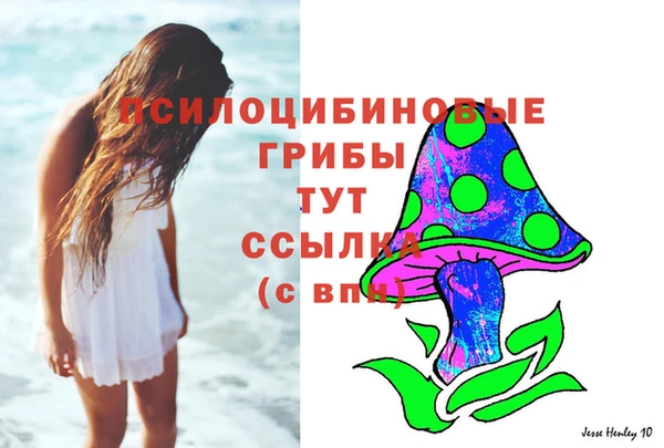 соль курить ск Остров