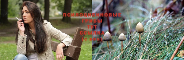 apvp Осташков