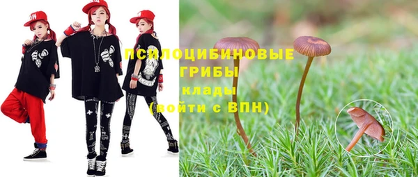 apvp Осташков